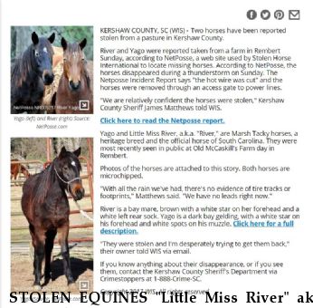 STOLEN EQUINES "Little Miss River" aka 'River', Yago $2500 REWARD, RECOVERED 7/28/17 Near Rembert, SC, 29128